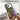 Litchi Texture Card Bag Ring Holder Vegan Leather + PC Phone Case with Shoulder Strap, For iPhone 13 mini, For iPhone 12, For iPhone 12 Pro Max