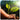 Planting trees-Plant 5 Trees with Utrano to Help People in More Than One Country Utrano