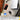 V2H85474BAF2D633E53EFFECC76C20DD220R7731267P10