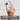 Candy Magsafe PC Hybrid TPU Phone Case, For Google Pixel 10a, For Google Pixel 10 Pro XL, For Google Pixel 10 / 10 Pro  