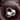 D MOOSTER D95 OWS Ear-Mounted ENC Bluetooth Earphones  