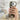 Litchi Texture Card Bag Ring Holder Vegan Leather + PC Phone Case with Shoulder Strap, For iPhone 16e / 17e, For iPhone 17 Pro Max, For iPhone 17 Pro  