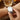 Women's Sports Business Quartz Watch Utrano