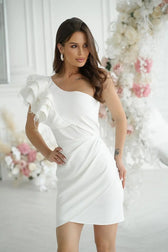  Short dress model 197239 Bicotone 