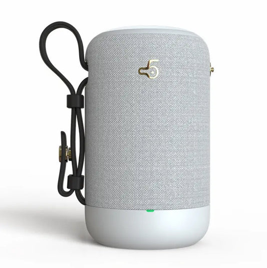 T5 Bluetooth audio  